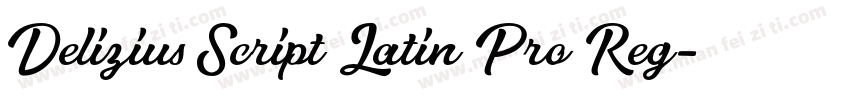 Delizius Script Latin Pro Reg字体转换